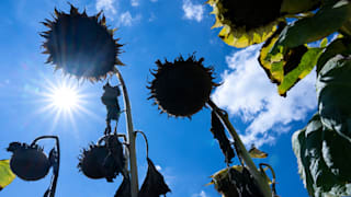 Wetterdienste warnen: Deutschland droht ein Hitzesommer