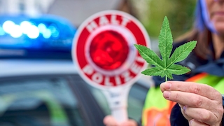 Symbolbild Cannabis Polizeikontrolle. Eine Polizistin hat ein Cannabisblatt in der Hand und eine Polizeikelle mit Aufschrift HALT POLIZEI vor einem Polizeiauto mit Blaulicht