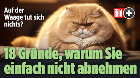 Abnehmen: 18 Gründe, warum es bei Ihnen nicht klappt