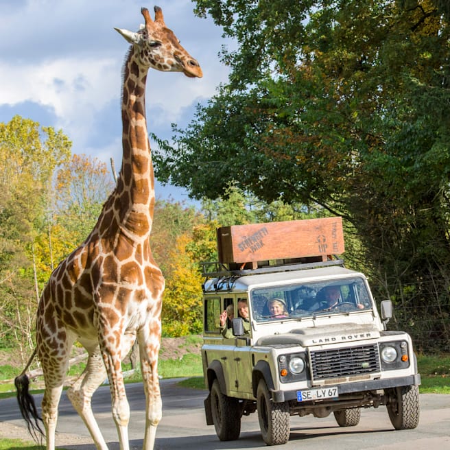 BILD Couponaktion: Am 24. & 25. Mai als BILDplus User ab 13:30 Uhr freien Eintritt in den Serengeti-Park