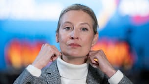Alice Weidel im Steckbrief: Alles über die AfD-Kanzlerkandidatin
