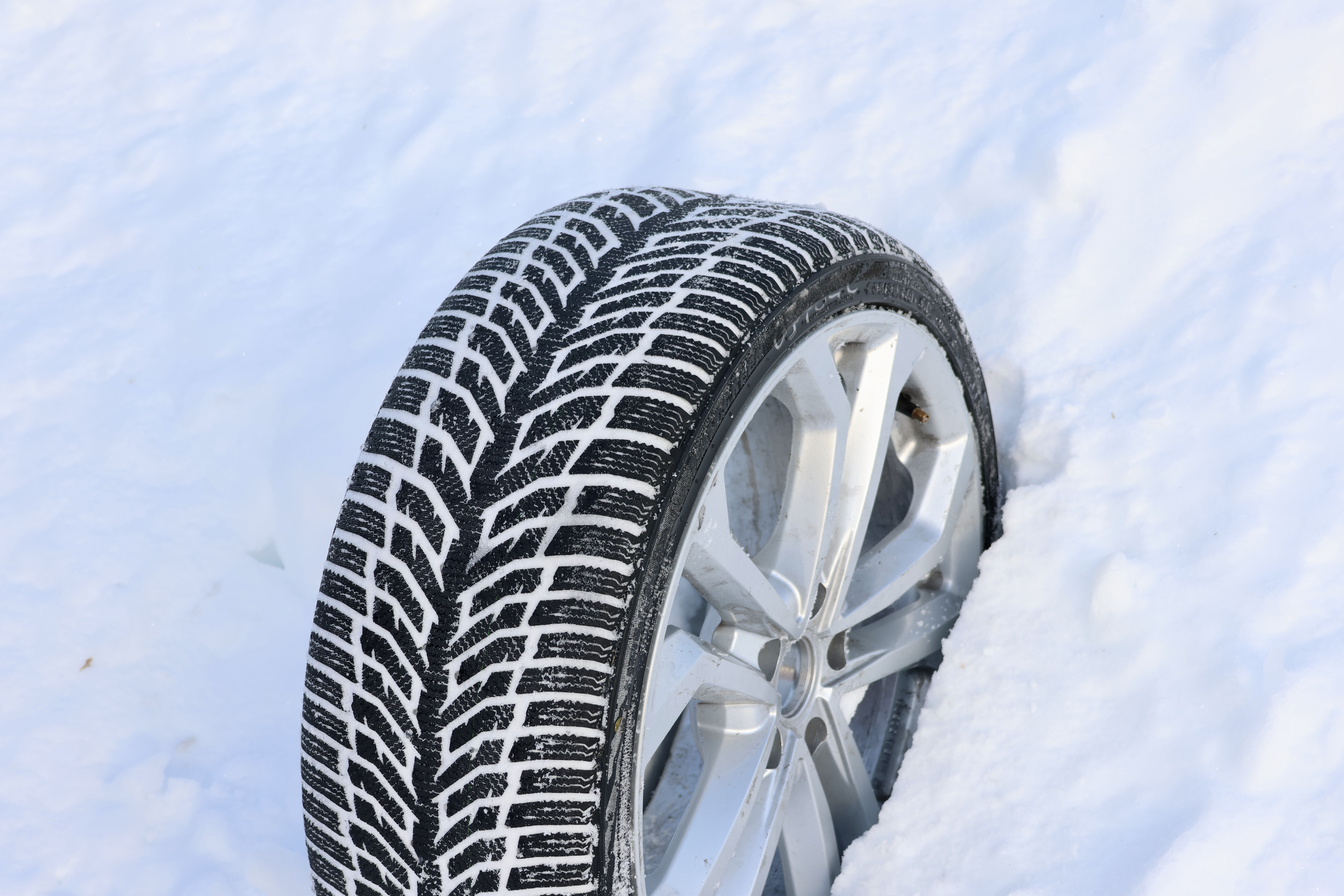 Autogreen Snow Chaser 2 AW08 (91 H)