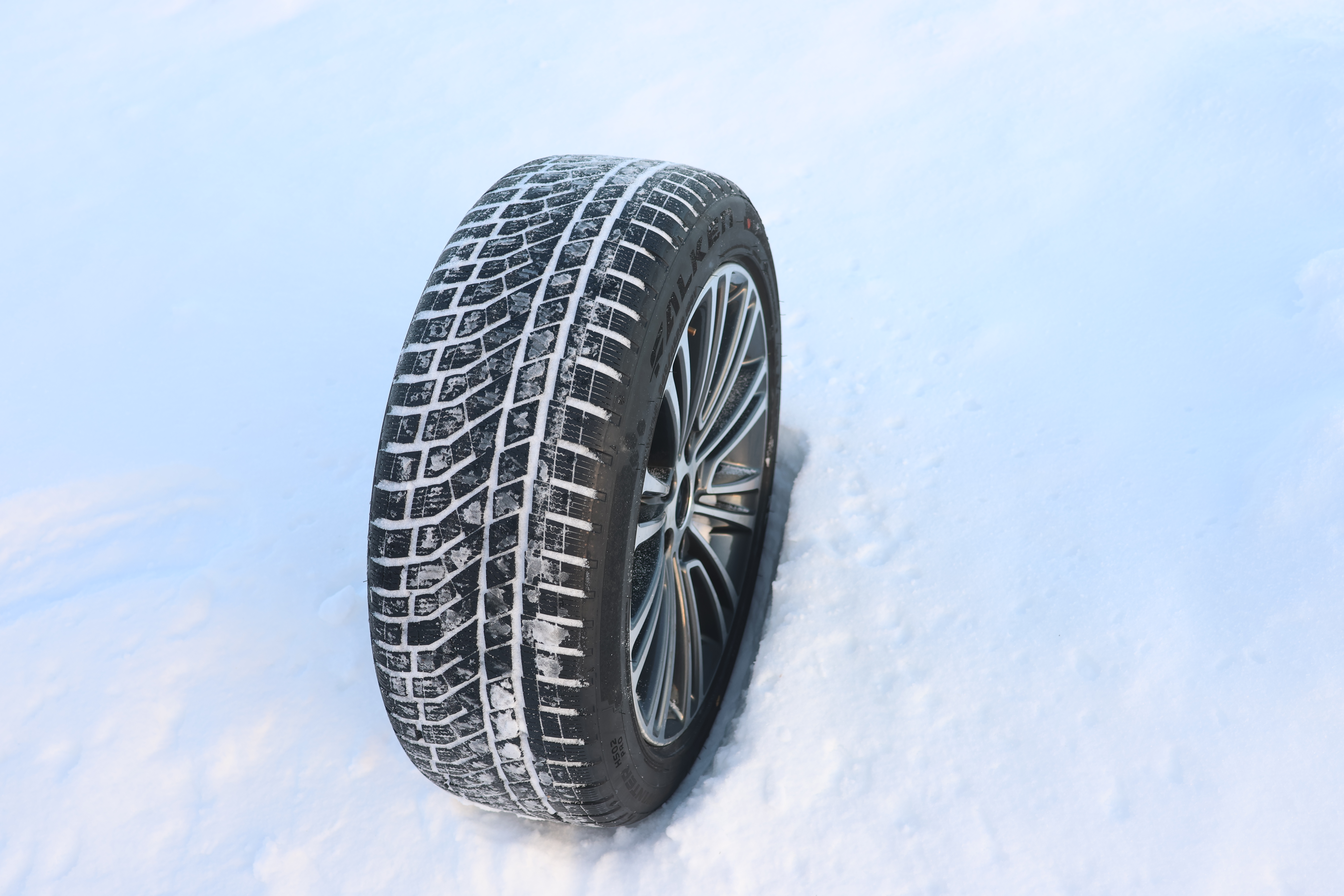 Falken Eurowinter HS02 Pro (100 V)