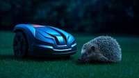 Mähroboter und Igel auf einem Rasen