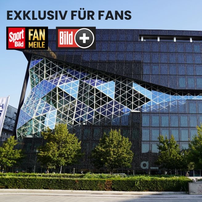 Treffen Sie die SPORT BILD-Redaktion!