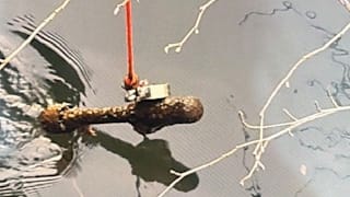 Dieser Angler hat in Bayern tödliche Gefahr am Haken