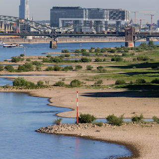 In Deutschland trocknen die Flüsse aus: Niedrigwasser an Donau, Rhein, Elbe