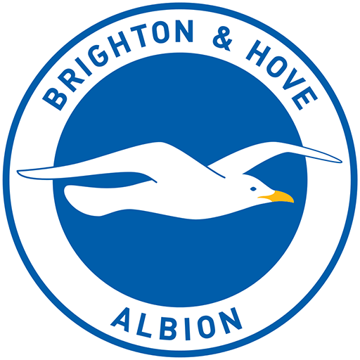 Brighton & Hove Albion Logo
