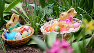 Diebstahl in Park: Fremde Osternester entdeckt!