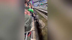Sassuolo Calcio: Fan springt über Wassergraben und scheitert kläglich