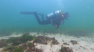 Müll-Taucher Stefan räumt jeden Freitag die Ostsee auf 