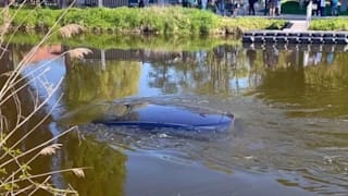 Ehepaar verzweifelt: Betrunkener klaut Auto und versenkt es im Fluss