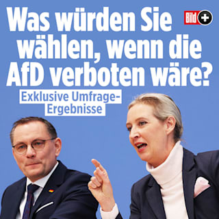 Exklusive Umfrage-Ergebnisse: Was würden Sie wählen, wenn die AfD verboten wäre?