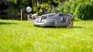 Baby schwer von Mähroboter im Garten verletzt: In Klinik geflogen