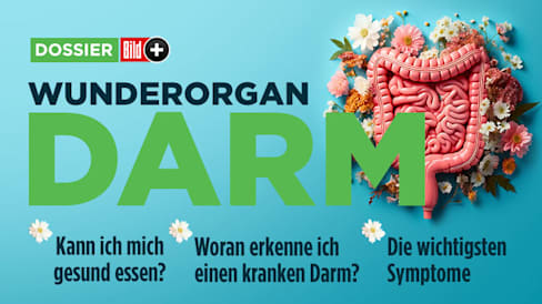 Das Mikrobiom: So wichtig ist ein intakter Darm für unsere Gesundheit