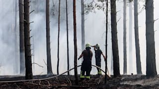Dürre in Deutschland: Erster Waldbrand in Brandenburg - Kiefern brennen