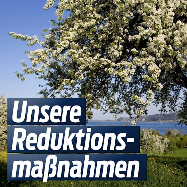 SPORT BILD senkt CO₂*-Ausstoß: Unsere Reduktionsmaßnahmen