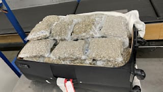  Dreiste Schmuggler: Zoll findet 50 Kilo Marihuana am Flughafen!
