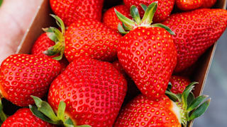 Erdbeeren sollten gewaschen werden – aber nicht sofort!