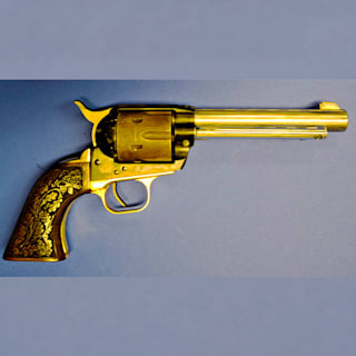 Eine ist aus Gold: Zoll in Bayern beschlagnahmt 30 illegale Waffen
