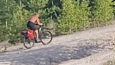 Teaser-Bild