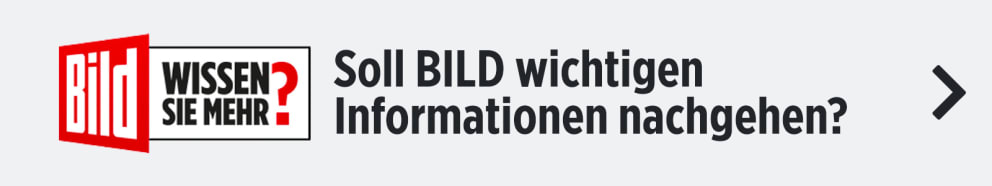 Teaser-Bild