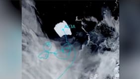 Größter Eisberg der Welt: Giga-Brocken nimmt Kurs auf Atlantik
