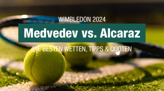 Medvedev - Alcaraz Tipp