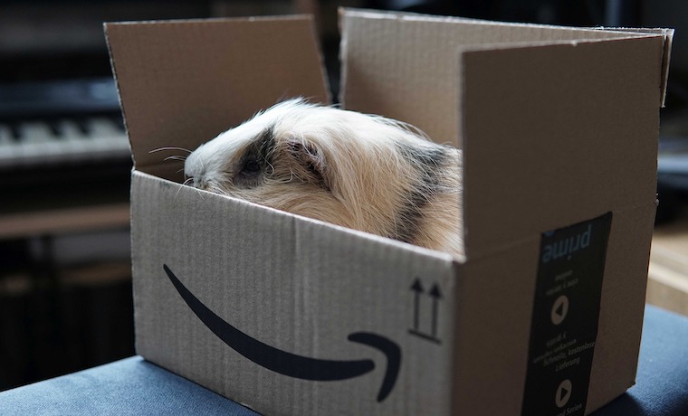 Amazon Prime Abo