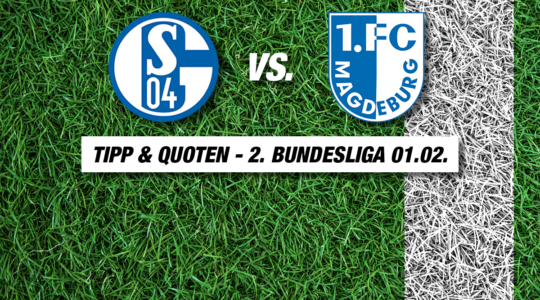 Schalke - Magdeburg Tipp