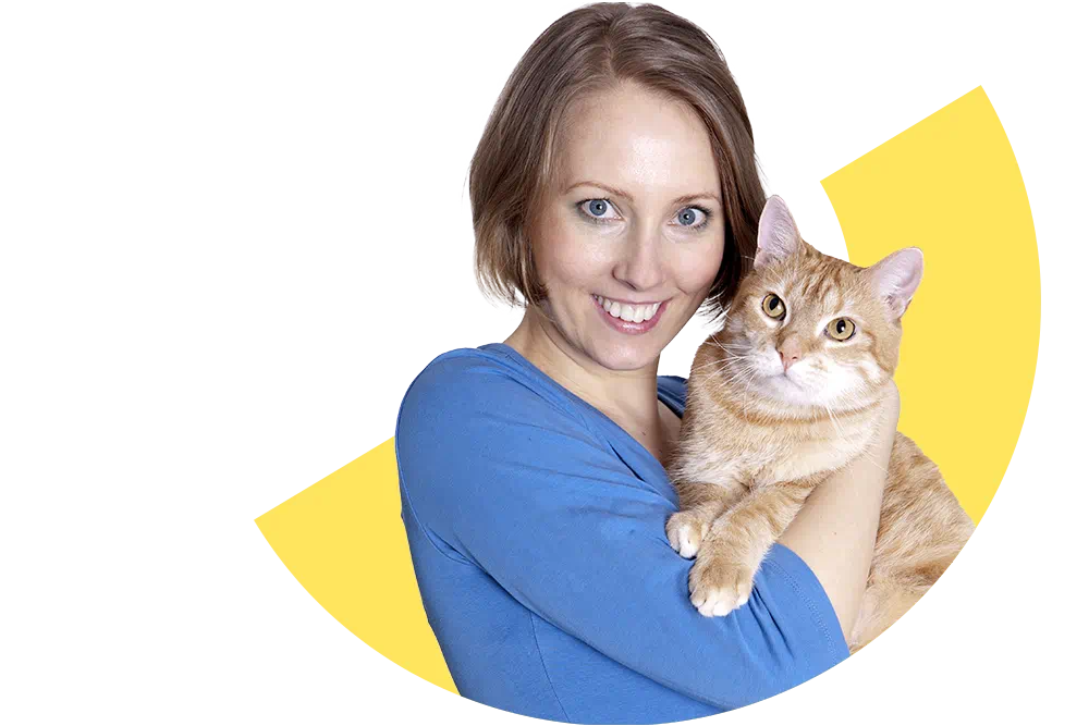 Katzenkrankenversicherung: Nützliche Tipps und Tricks