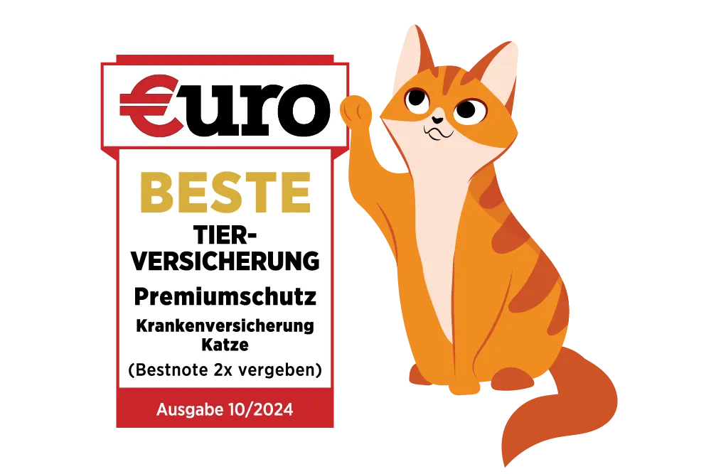 DA Direkt: €uro - Beste Tierversicherung für Ihre Katze