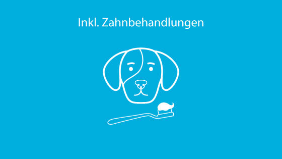Inkl. Zahnbehandlungen